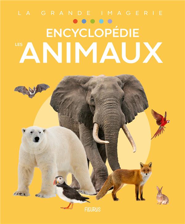 Encyclopédie : les animaux - flash vidéo