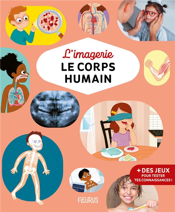 L'imagerie : le corps humain - flash vidéo
