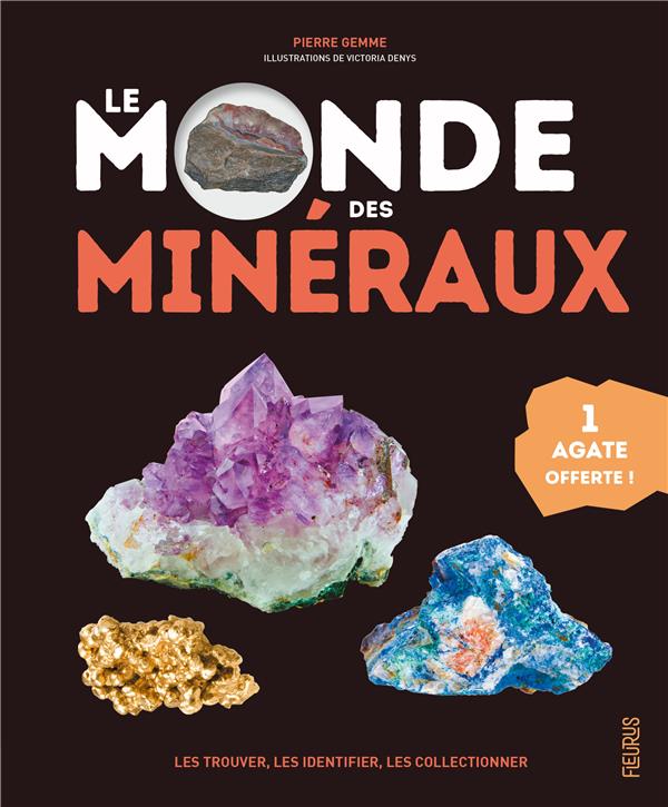 Le monde des minéraux : les trouver, les identifier, les collectionner - flash vidéo