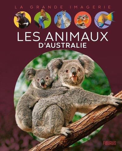 Les animaux d'Australie - flash vidéo