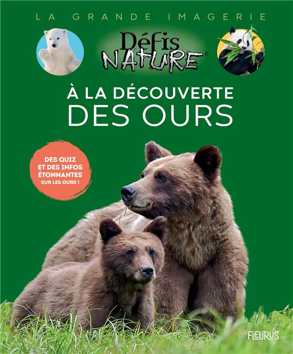 A la découverte des ours