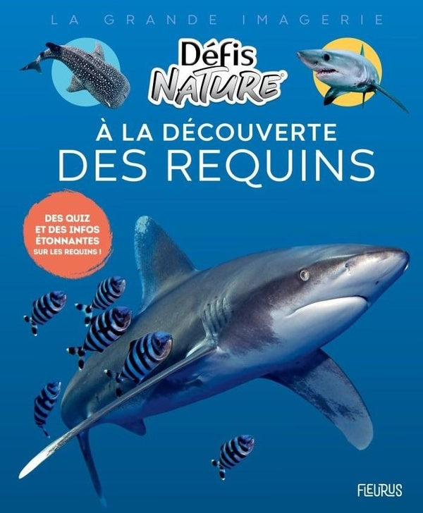 A la découverte des requins