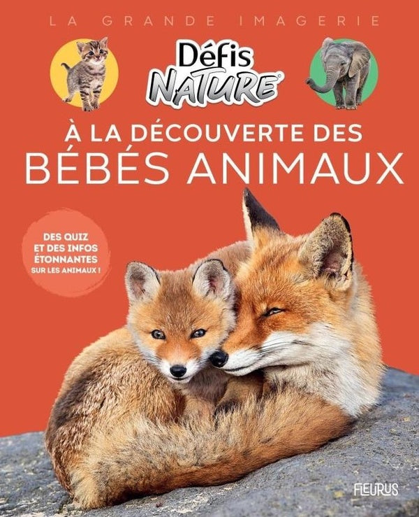 A la découverte des bébés animaux