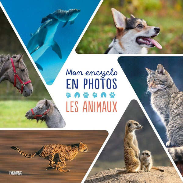 Mon encyclo en photos : Les animaux