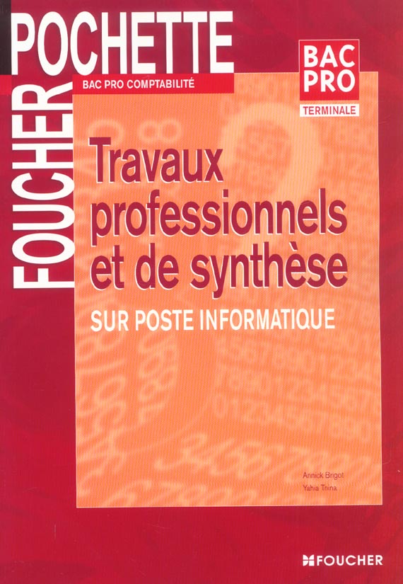 Travaux professionnels et de synthese sur poste informatique
