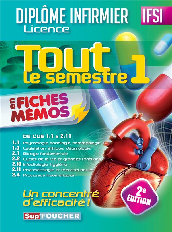 DEI ; tout le semestre 1 en fiches mémos (2e édition)