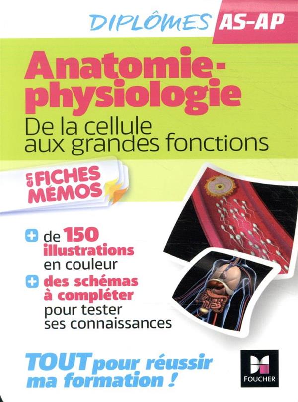 Anatomie-physiologie : de la cellule aux grandes fonctions ; aide-soignant, auxiliaire de puericulture ; en fiches mémos