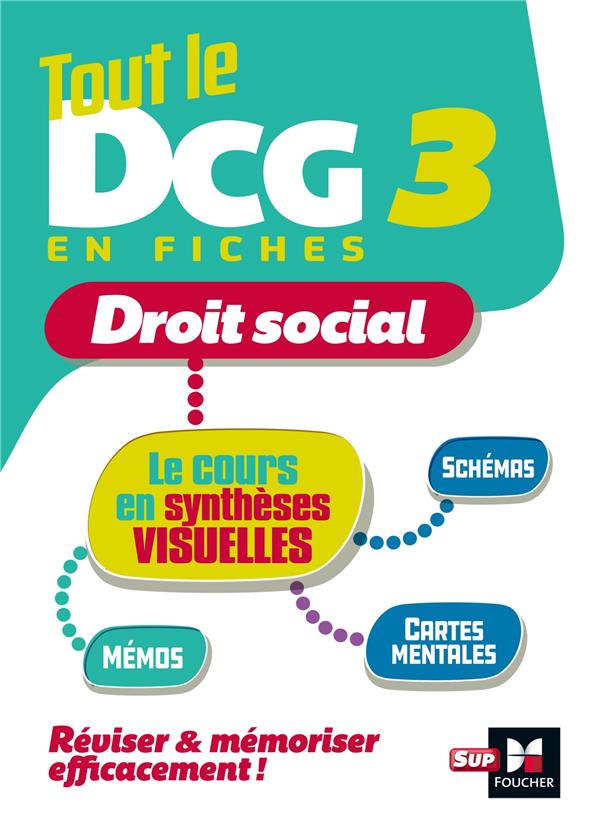 Tout le DCG 3 en fiches ; droit social ; le cours en synthèses visuelles (édition 2023/2024)