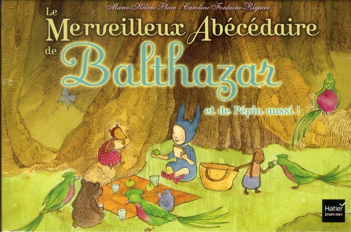 Le merveilleux abecedaire de balthazar et de pepin aussi ! - pedagogie montessori