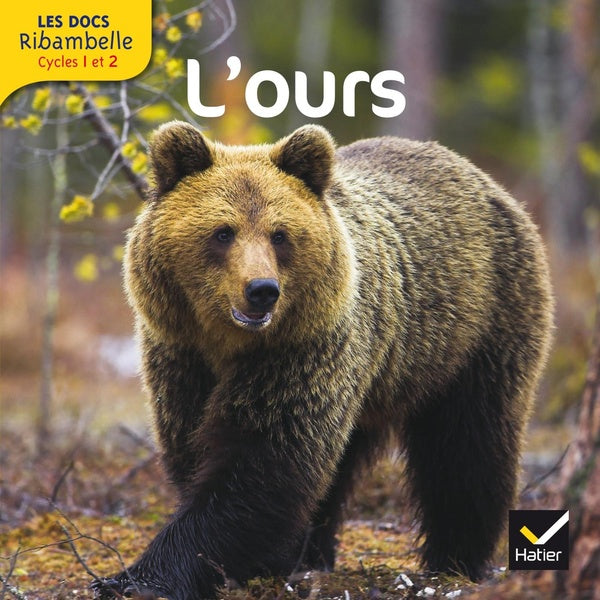 LES DOCS RIBAMBELLE : l'ours ; cycle 2