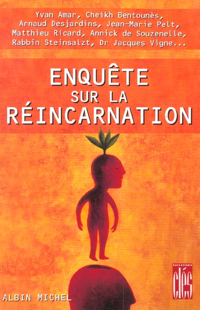 Enquete sur la reincarnation