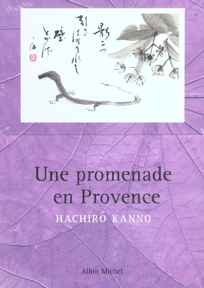 Une promenade en provence