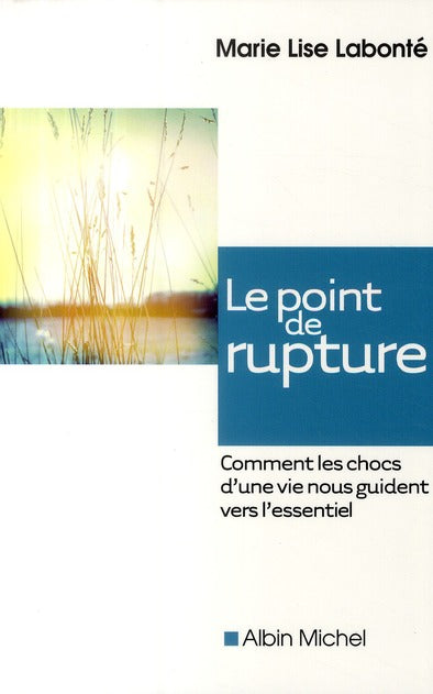 Le point de rupture ; comment les chocs d'une vie nous guident vers l'essentiel