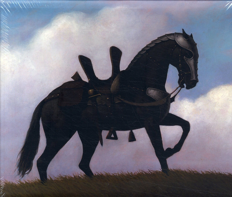 Soleil noir ; cheval vêtu