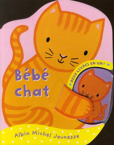 Bébé chat