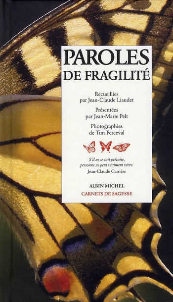 Paroles de fragilité