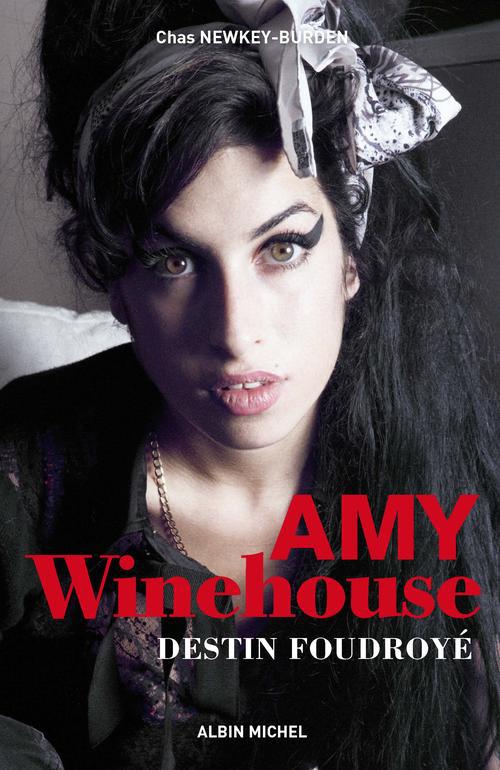 Amy Winehouse ; destin foudroyé