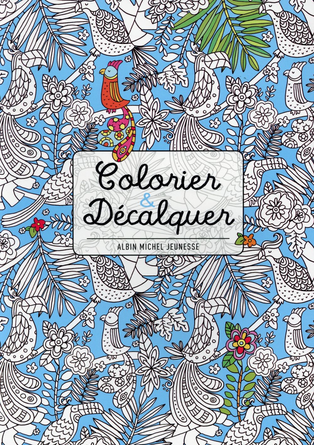 Colorier et décalquer