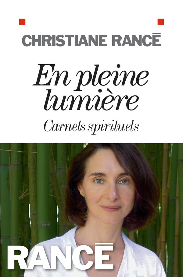 En pleine lumière ; carnets spirituels
