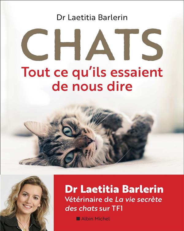 Chats ; tout ce qu'ils essaient de nous dire