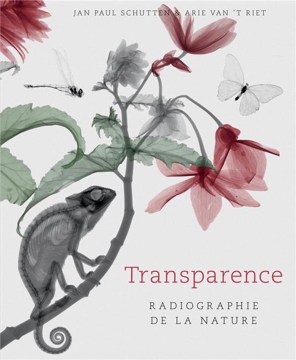 Transparence ; radiographie de la nature