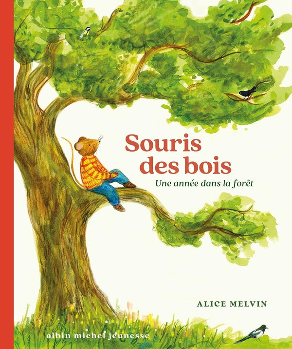 Souris des bois : Une année dans la forêt