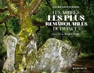 Les arbres les plus remarquables de France
