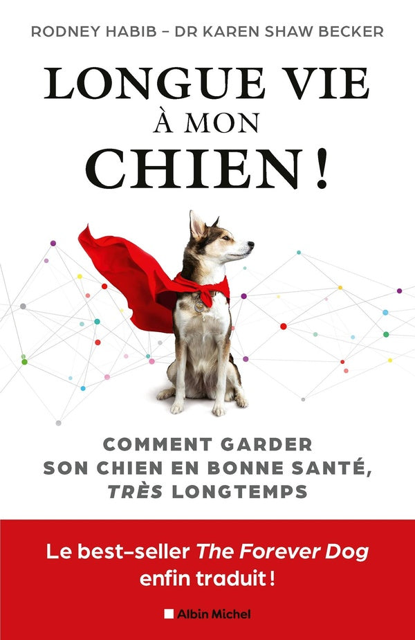 Longue vie a mon chien : comment garder votre chien en bonne santé très longtemps