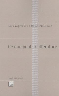 Ce que peut la littérature