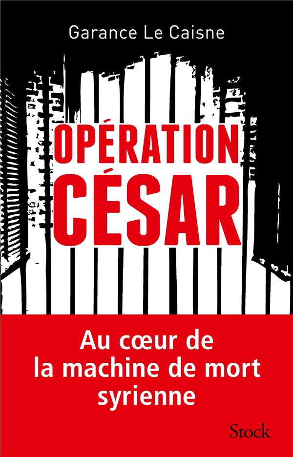 Opération César ; au coeur de la machine de mort syrienne