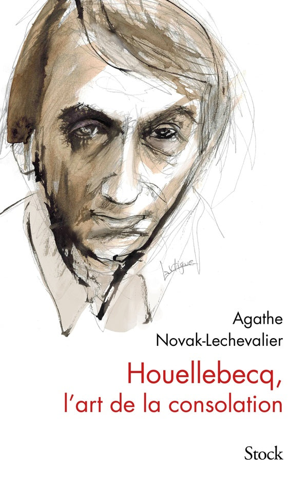 Michel Houellebecq, l'art de la consolation