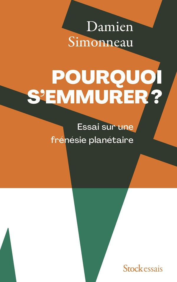 Pourquoi s'emmurer : Essai sur une frénésie planétaire