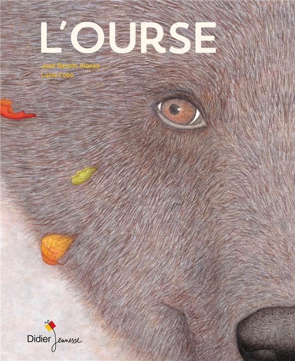 L'ourse