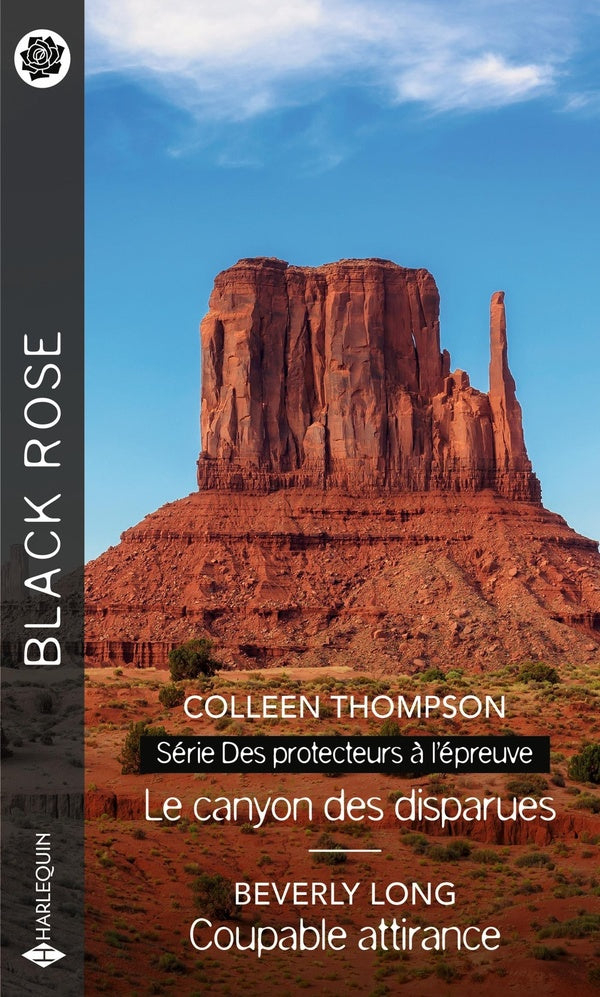 Des protecteurs à l'épreuve Tome 2 : le canyon des disparues ; coupable attirance