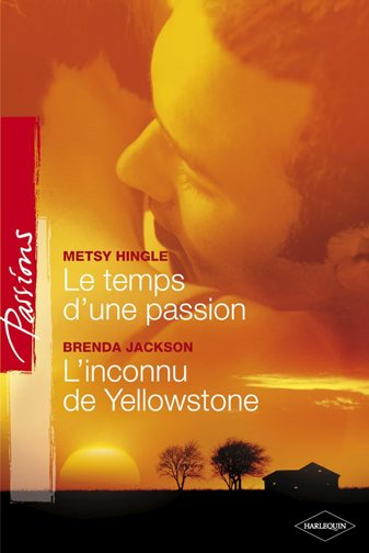 Le temps d'une passion ; l'inconnu de Yellowstone