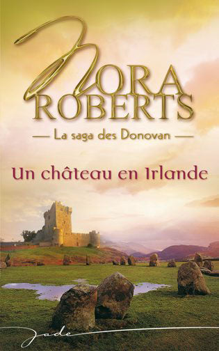 Un château en Irlande