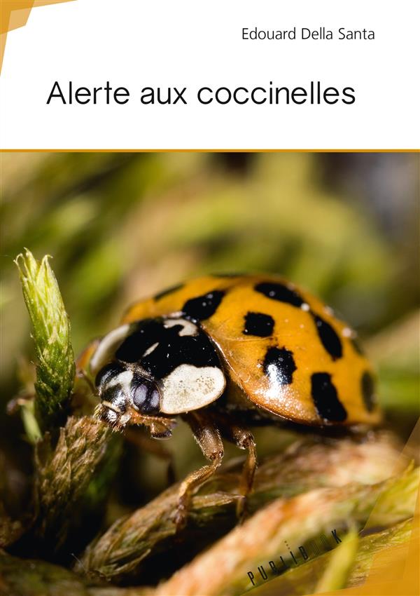 Alerte aux coccinelles