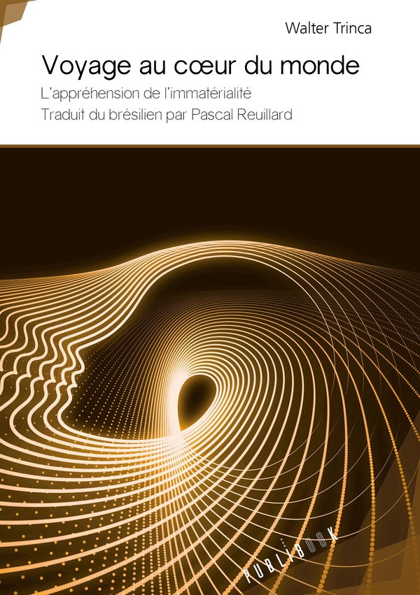 Voyage au coeur du monde ; l'appréhension de l'immatérialité