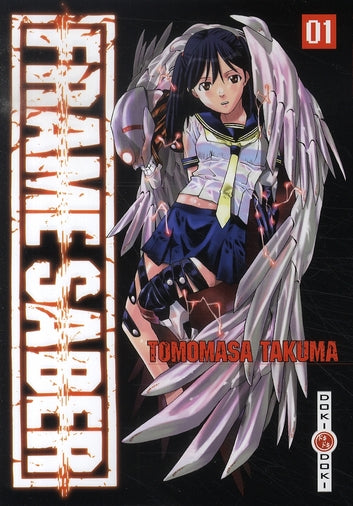 Frame saber Tome 1