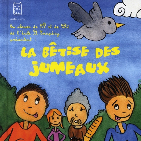 La bêtise des jumeaux