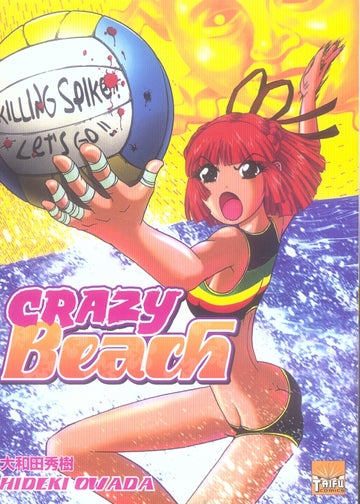 Crazy beach - flash vidéo