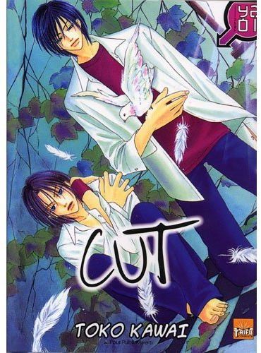 Cut - flash vidéo