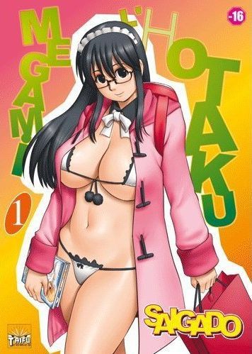 Megami l'hotaku Tome 1 - flash vidéo