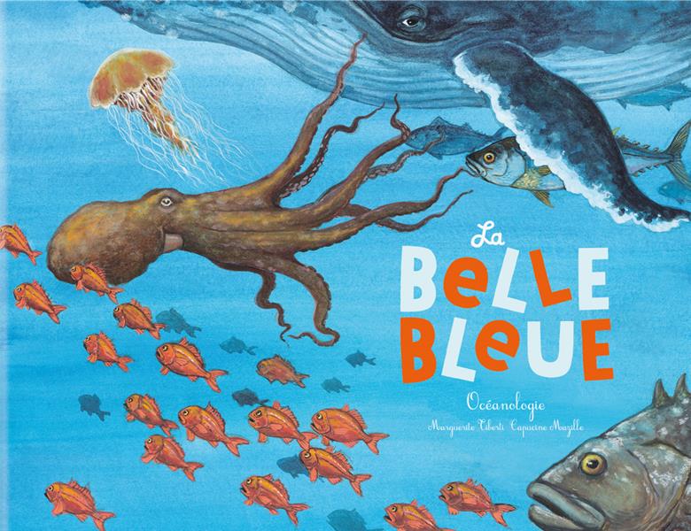 La belle bleue : océanologie - flash vidéo