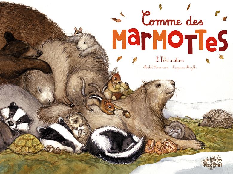 Comme des marmottes : l'hibernation - flash vidéo