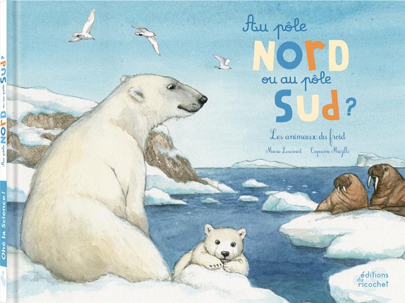 Au pôle Nord ou au pôle Sud ? les animaux du froid - flash vidéo