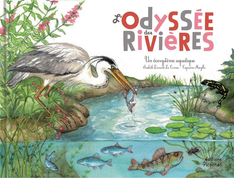 L'odyssée des rivières ; un écosystème - flash vidéo