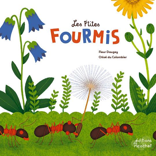 Les p'tites fourmis - flash vidéo