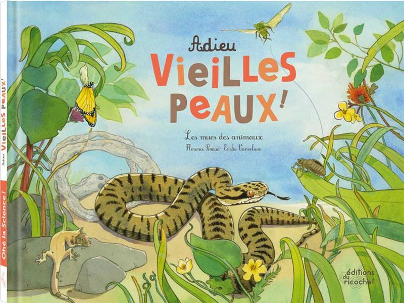 Adieux vieilles peaux ! Les mues des animaux - flash vidéo