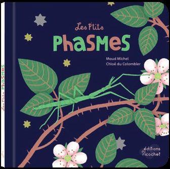 Les p'tits phasmes - flash vidéo